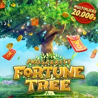 Trách nhiệm của người dùng 555win55